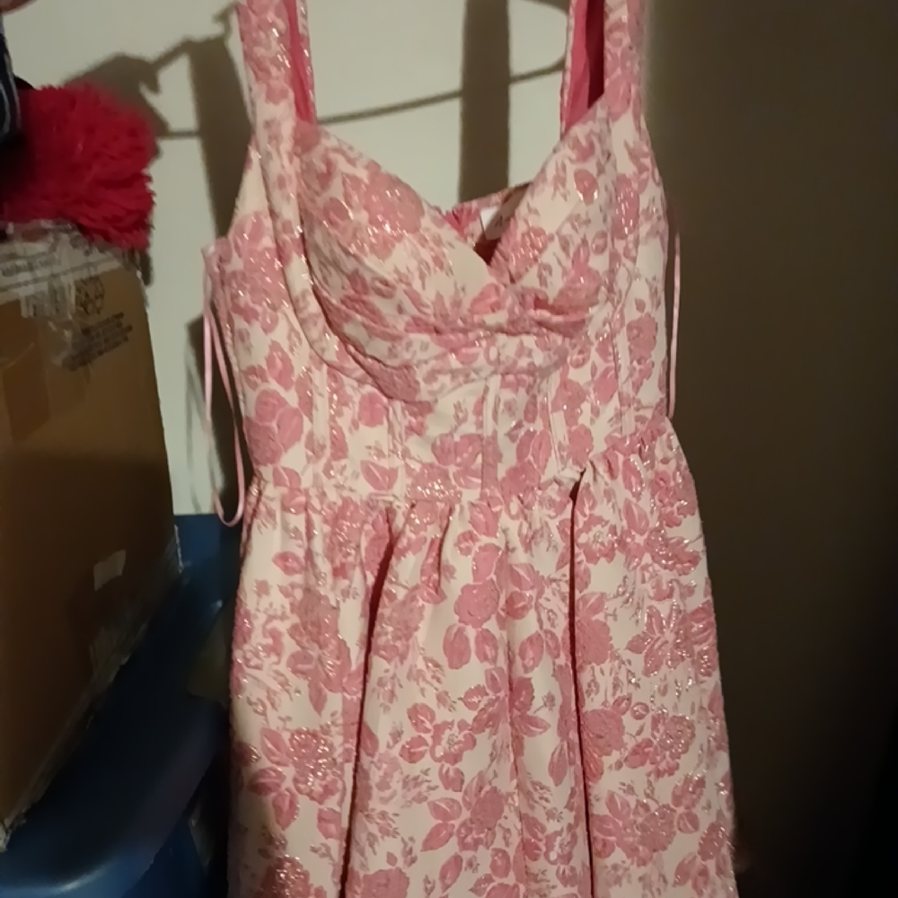 Amable By Mabel Pink Rose Dress